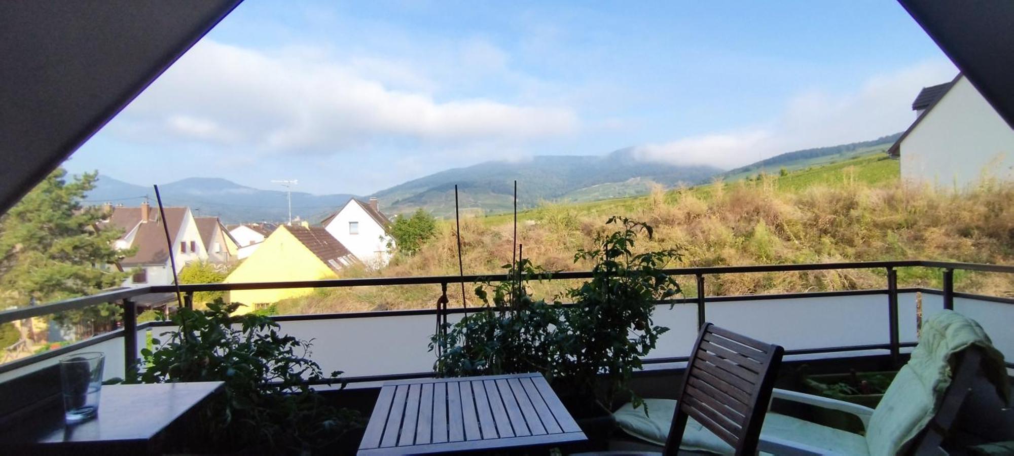 Au Coeur Du Vignoble Appartement *